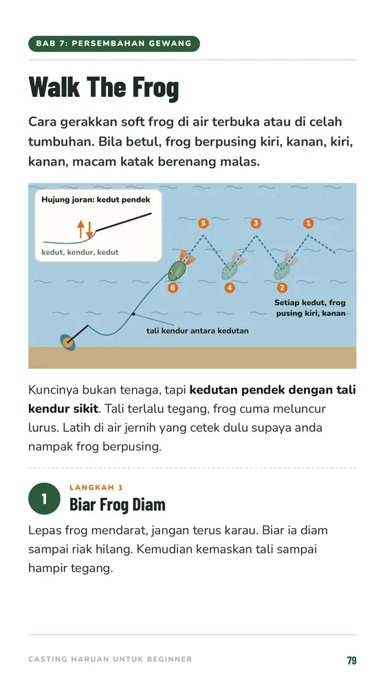 Walk The Frog